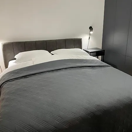 Apartman In The Center With Access To Parking *